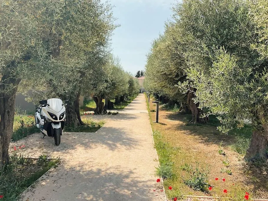 Apartment Appartement Type Industriel Dans Cadre Provencal Sanary-sur-Mer
